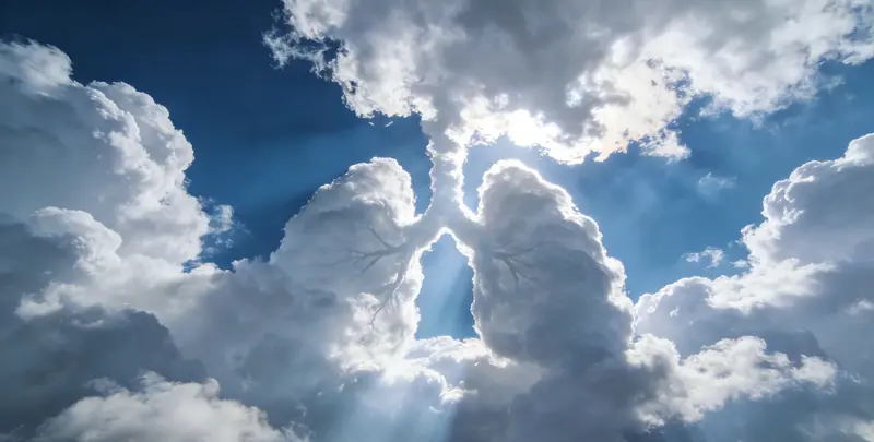 临汾肺癌13基因突变检测（组织）图片1