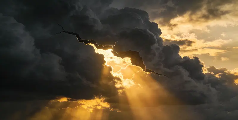 临汾肺癌靶向120基因检测（组织）图片1