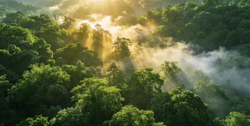 临汾肺癌120基因ctDNA突变检测(血液）图片1